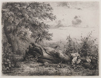 KG 08258
          <br/>
          Landschap met omgevallen boom
          <br/>
          <em>Dubourcq, Pierre Louis (1815-1873)</em>
